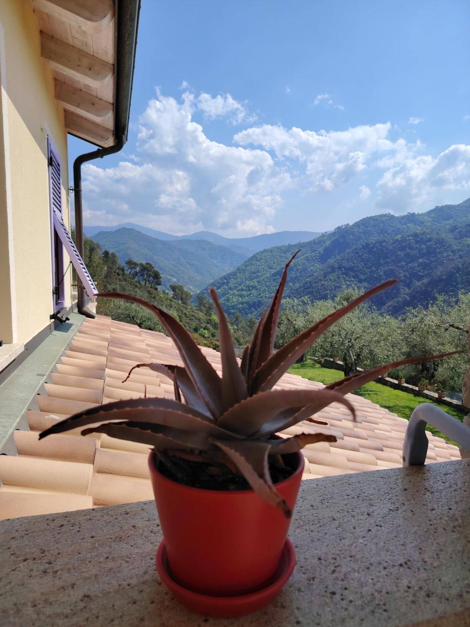 La Cicala Stonata Bed & Breakfast Dolceacqua Exterior photo